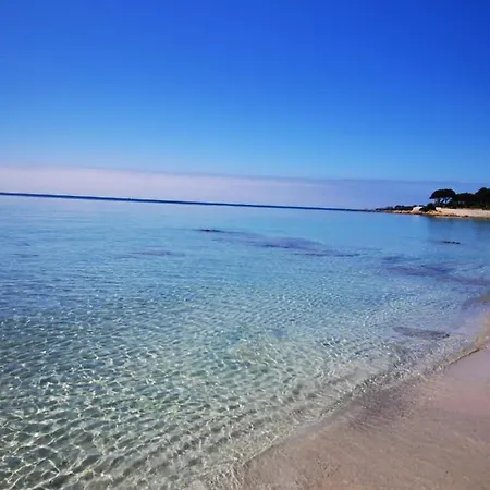 Apartment Superbe 3 Pieces Vue Mer Sur Les Sanguinaires *