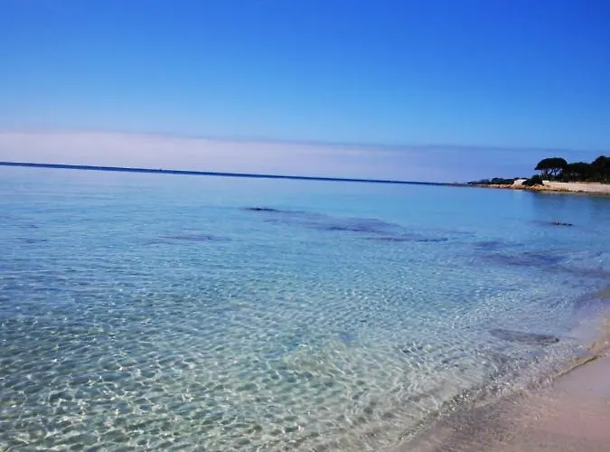 شقة Superbe 3 Pieces Vue Mer Sur Les Sanguinaires *