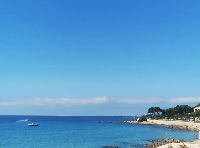 شقة Superbe 3 Pieces Vue Mer Sur Les Sanguinaires أجاكسيو